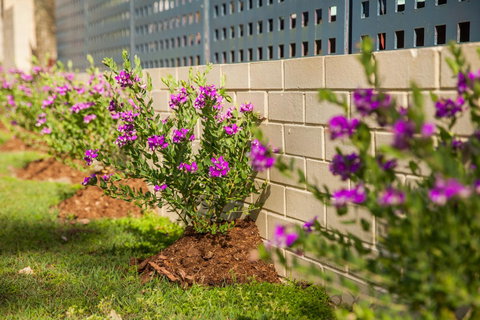 Kempsey Rose Motor Inn - Pubs and Clubs 15