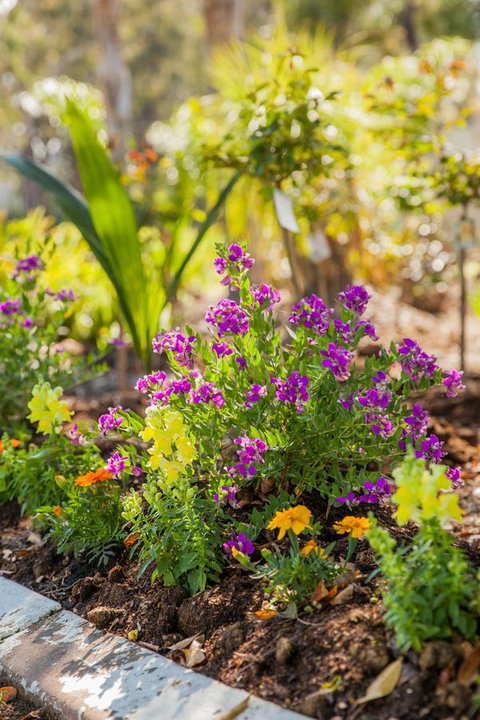 Kempsey Rose Motor Inn - Pubs and Clubs 6