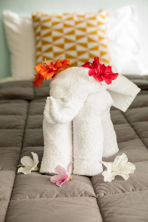 Kempsey Rose Motor Inn - Pubs and Clubs 17