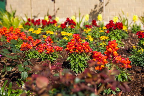 Kempsey Rose Motor Inn - Pubs and Clubs 20