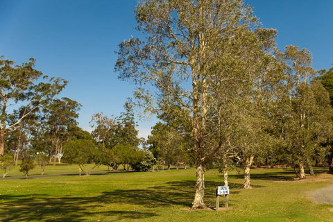 Kempsey Rose Motor Inn - Pubs and Clubs 32