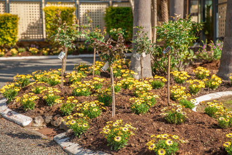 Kempsey Rose Motor Inn - Pubs and Clubs 23