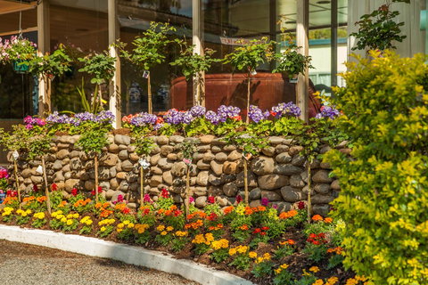 Kempsey Rose Motor Inn - Pubs and Clubs 34