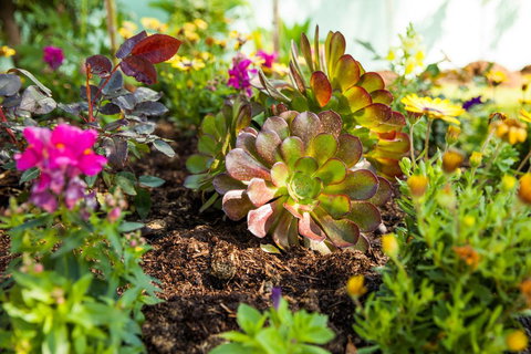 Kempsey Rose Motor Inn - Pubs and Clubs 35