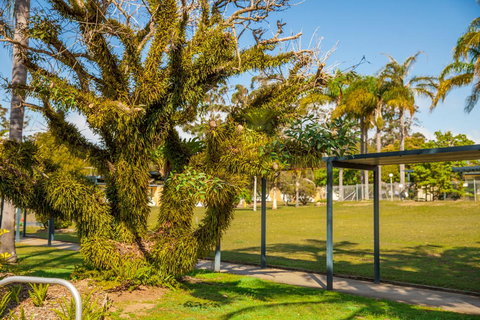 Kempsey Rose Motor Inn - Pubs and Clubs 41