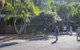 The Palms At Avoca - thumb 14