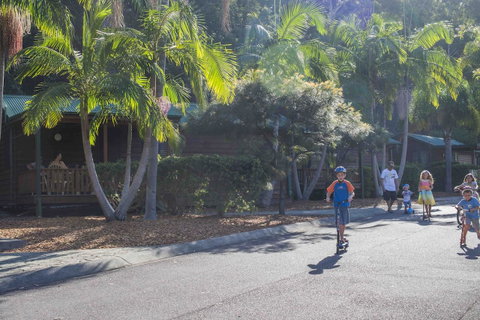 The Palms At Avoca - Pubs and Clubs 14
