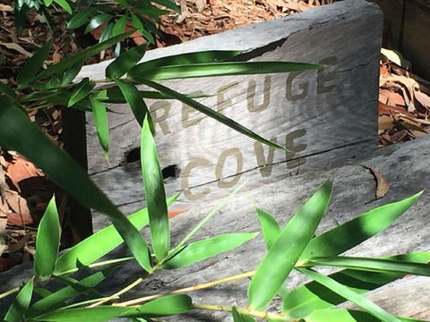 Refuge Cove On Pittwater - Pubs and Clubs 12