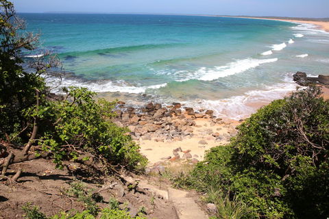 Neptune I Absolute Beachfront I Stunning Views - Pubs and Clubs 34