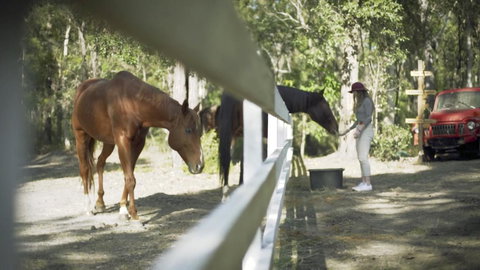 The Woods Farm Jervis Bay - Go Out 13
