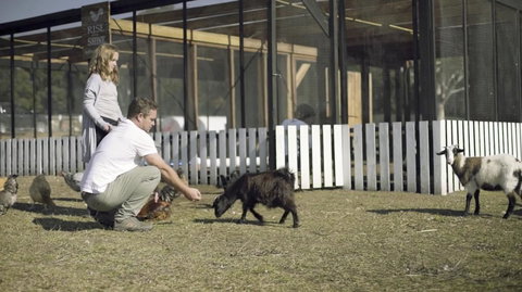 The Woods Farm Jervis Bay - Go Out 14
