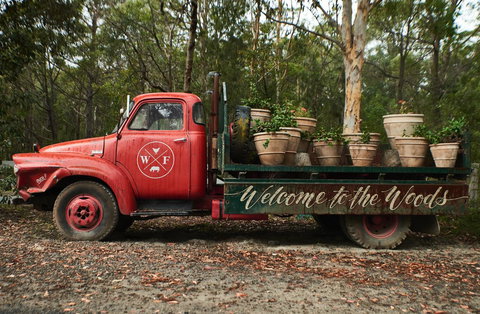 The Woods Farm Jervis Bay - Go Out 8
