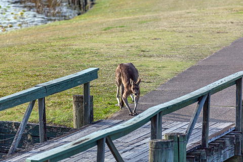Condo 105 @ Horizons Golf Resort - Salamander Bay NSW - Go Out 11