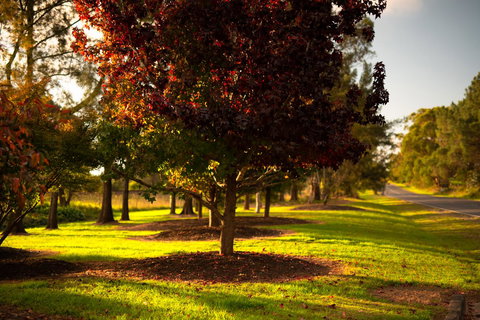 Bundanoon Country Inn Motel - Go Out 20
