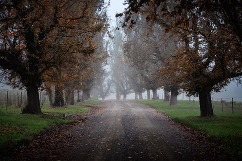 Bundanoon Country Inn Motel - Go Out 17