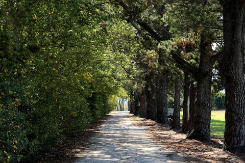 Terara Riverside Retreat - Go Out 26