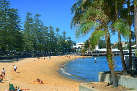 Oversized 2 Bedroom Manly Beach House - Go Out 14