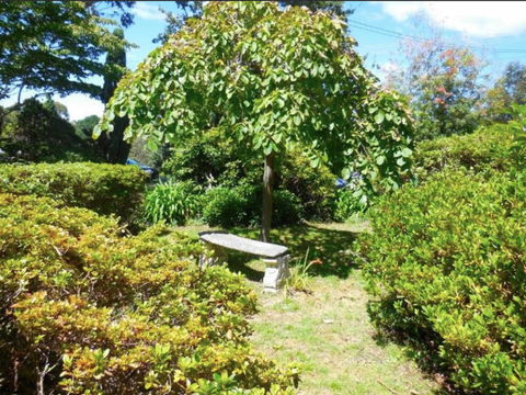 Dangal Gardens - Pubs and Clubs 26