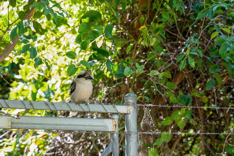 Wollongbar Motel - Pubs and Clubs 8