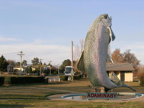 Cooma Motor Lodge Motel - Go Out 19