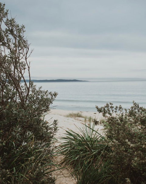 Salthouse Berrara - Go Out 18