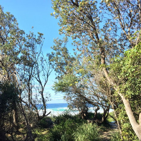 Salthouse Berrara - Go Out 22