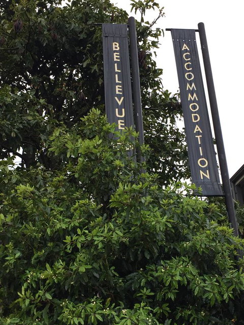Bellevue Accommodation - Pubs and Clubs 17