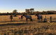 Madigan Wine Country Cottages - thumb 8