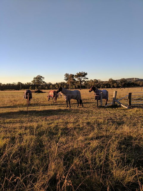 Madigan Wine Country Cottages - Pubs and Clubs 8