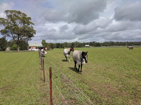 Madigan Wine Country Cottages - Pubs and Clubs 9