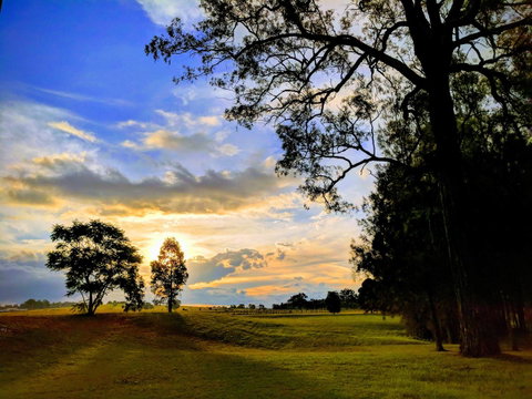 Madigan Wine Country Cottages - Pubs and Clubs 11