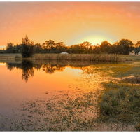 Madigan Wine Country Cottages - Pubs and Clubs