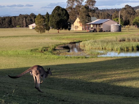 Madigan Wine Country Cottages - Pubs and Clubs 6