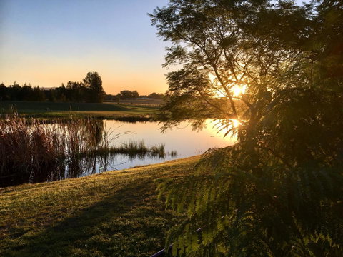 Madigan Wine Country Cottages - Pubs and Clubs 17