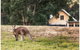 Madigan Wine Country Cottages - thumb 4