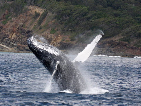 Braemar 9 - Go Out 8