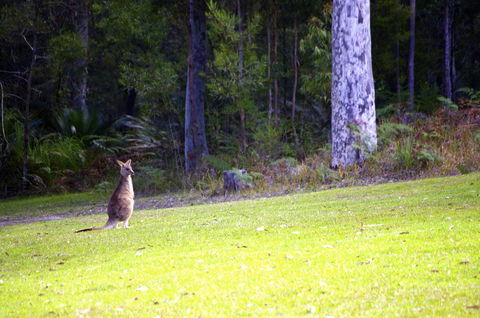 Jackson Ranch By Bannisters - Pubs and Clubs 31