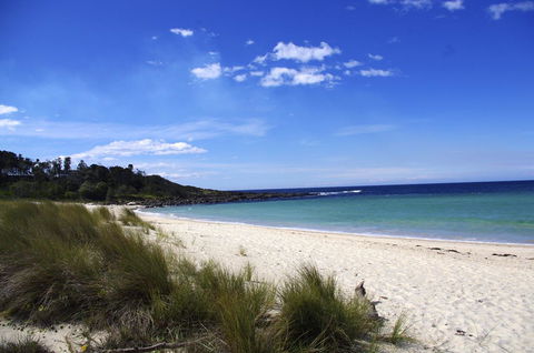 Jackson Ranch By Bannisters - Pubs and Clubs 32