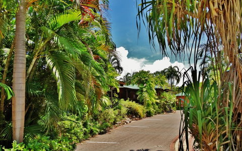 Palms City Resort - Pubs and Clubs 4