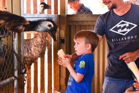 Erldunda Desert Oaks Resort - Pubs and Clubs 13