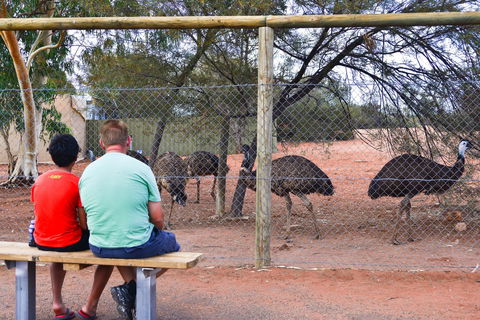 Erldunda Desert Oaks Resort - Pubs and Clubs 21