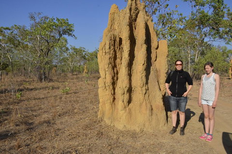 Mount Bundy Station - Pubs and Clubs 44