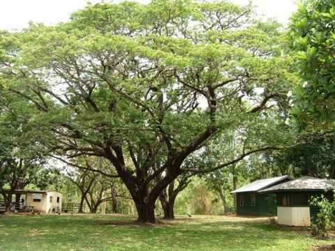 Mount Bundy Station - Pubs and Clubs 26