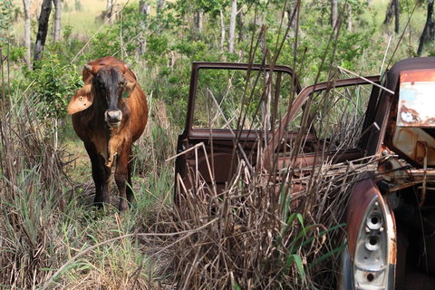 Mount Bundy Station - Pubs and Clubs 42