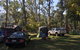 Bright Cabin Park - thumb 2