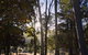 Bright Cabin Park - thumb 3