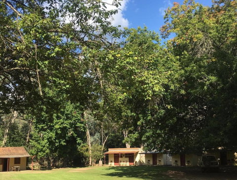 Bright Cabin Park - Pubs and Clubs 1