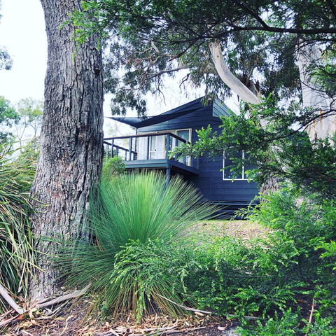 Bush Hideaway By The Beach - Go Out 3