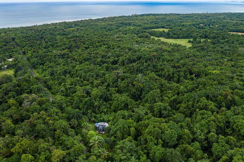 Cape Tribulation Holiday House - Pubs and Clubs 1