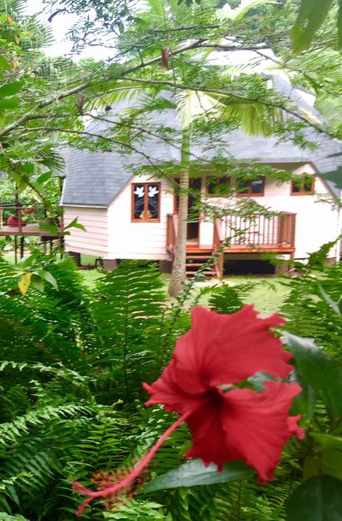 Cape Tribulation Holiday House - Pubs and Clubs 3